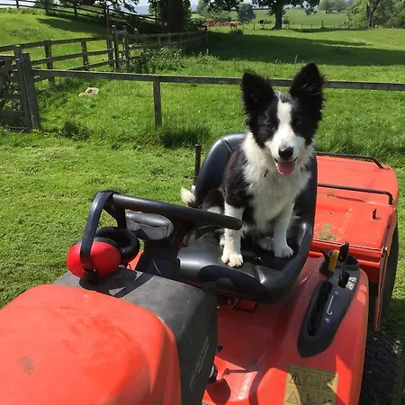 West Leas Farm * Laverton